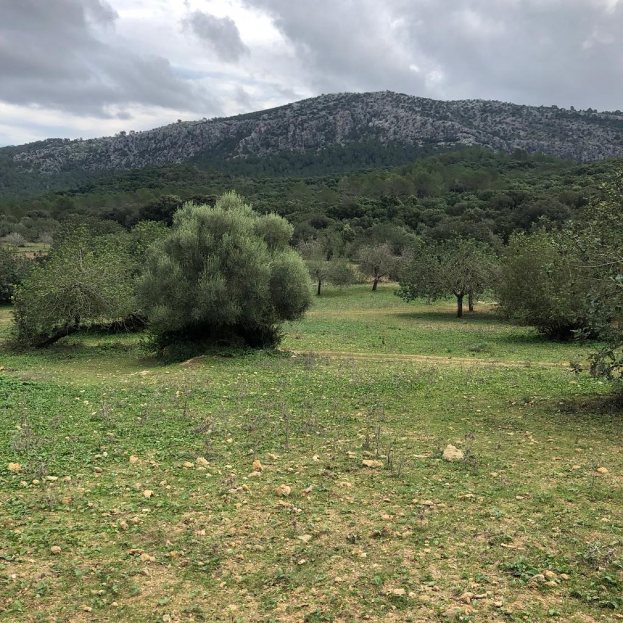 Große Chance für Investitionen!