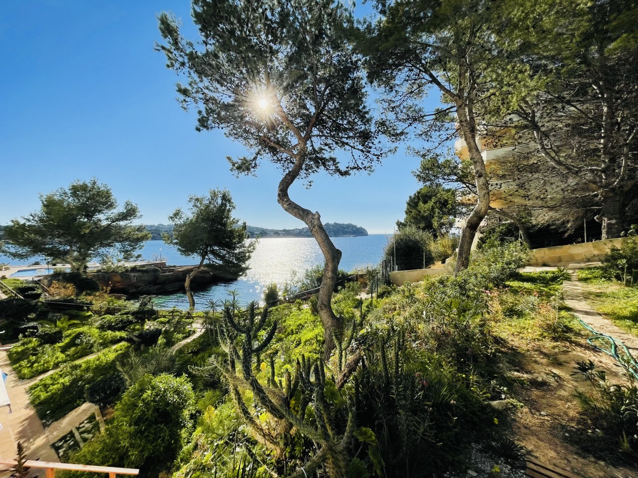 1.Meereslinie Wohnung in Santa Ponsa