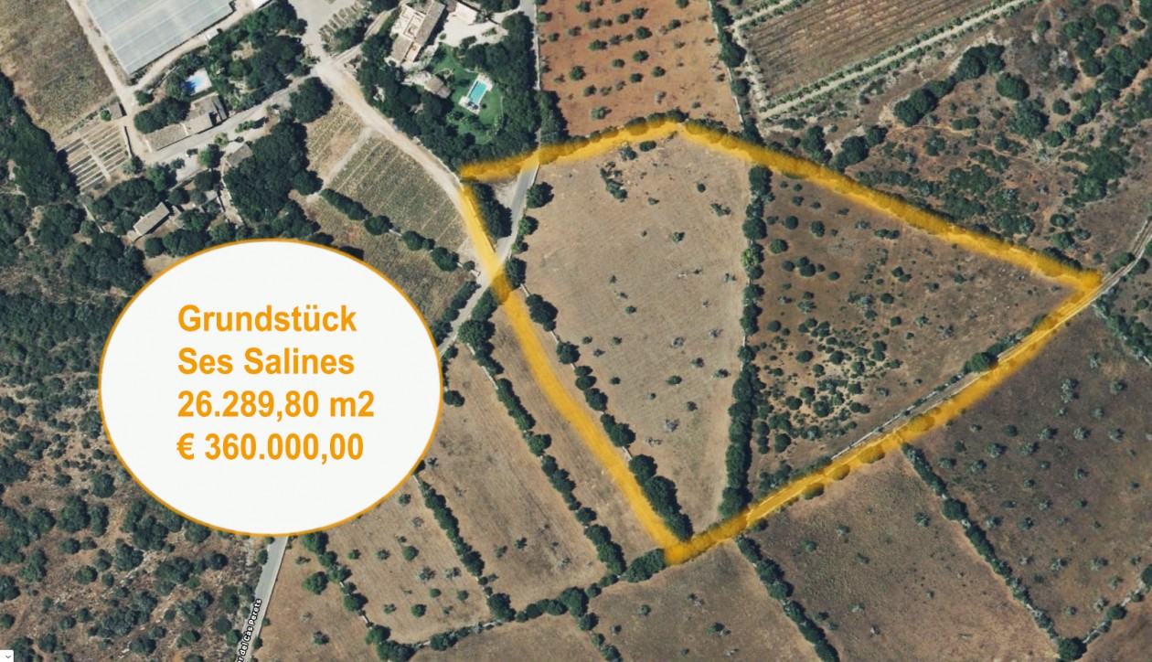 Baugrundstück in Ses Salines
