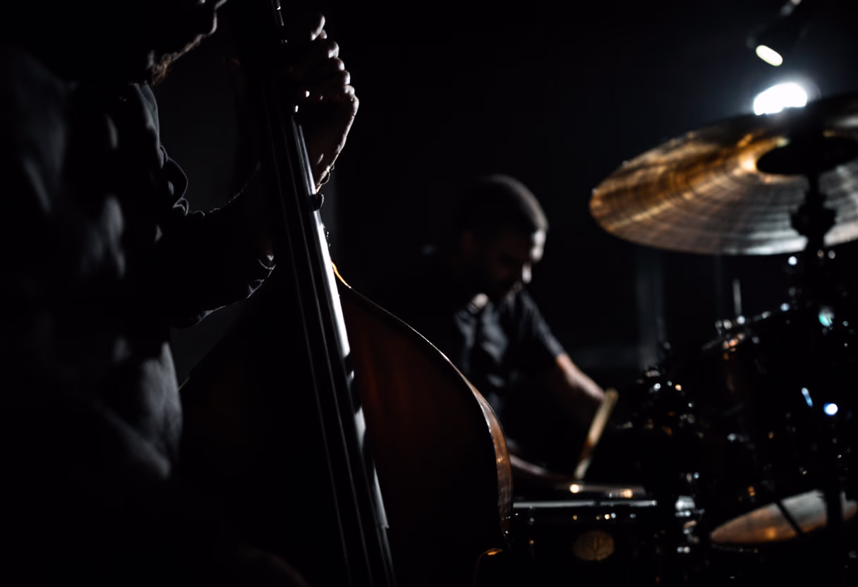 image of live music performance (for a bars & pub)