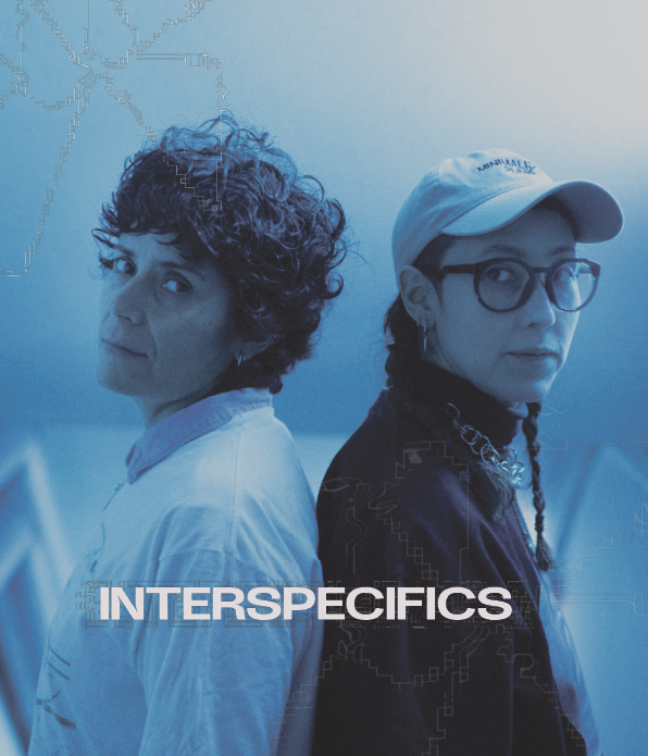 image of worship service in progress