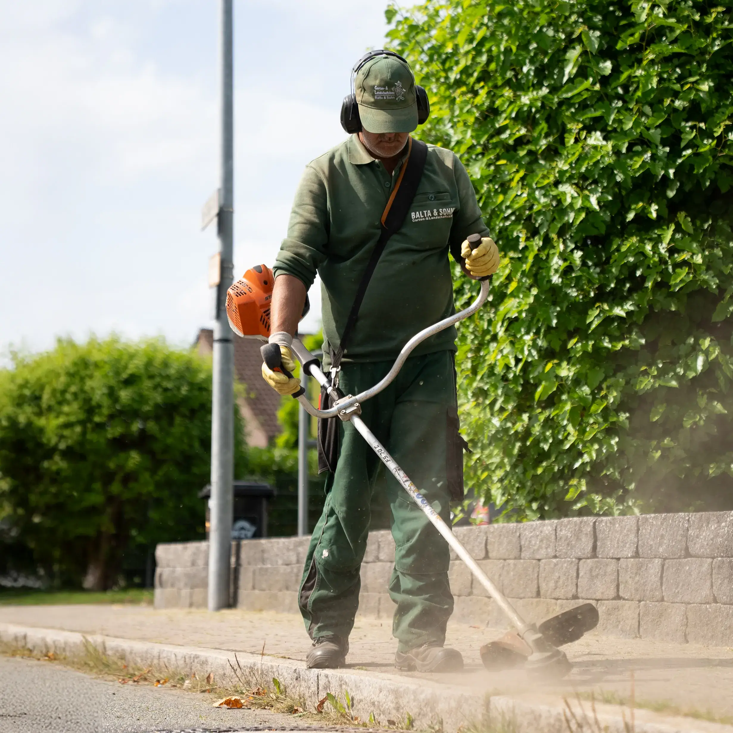 Das Geheimnis des perfekten Vertikutierens