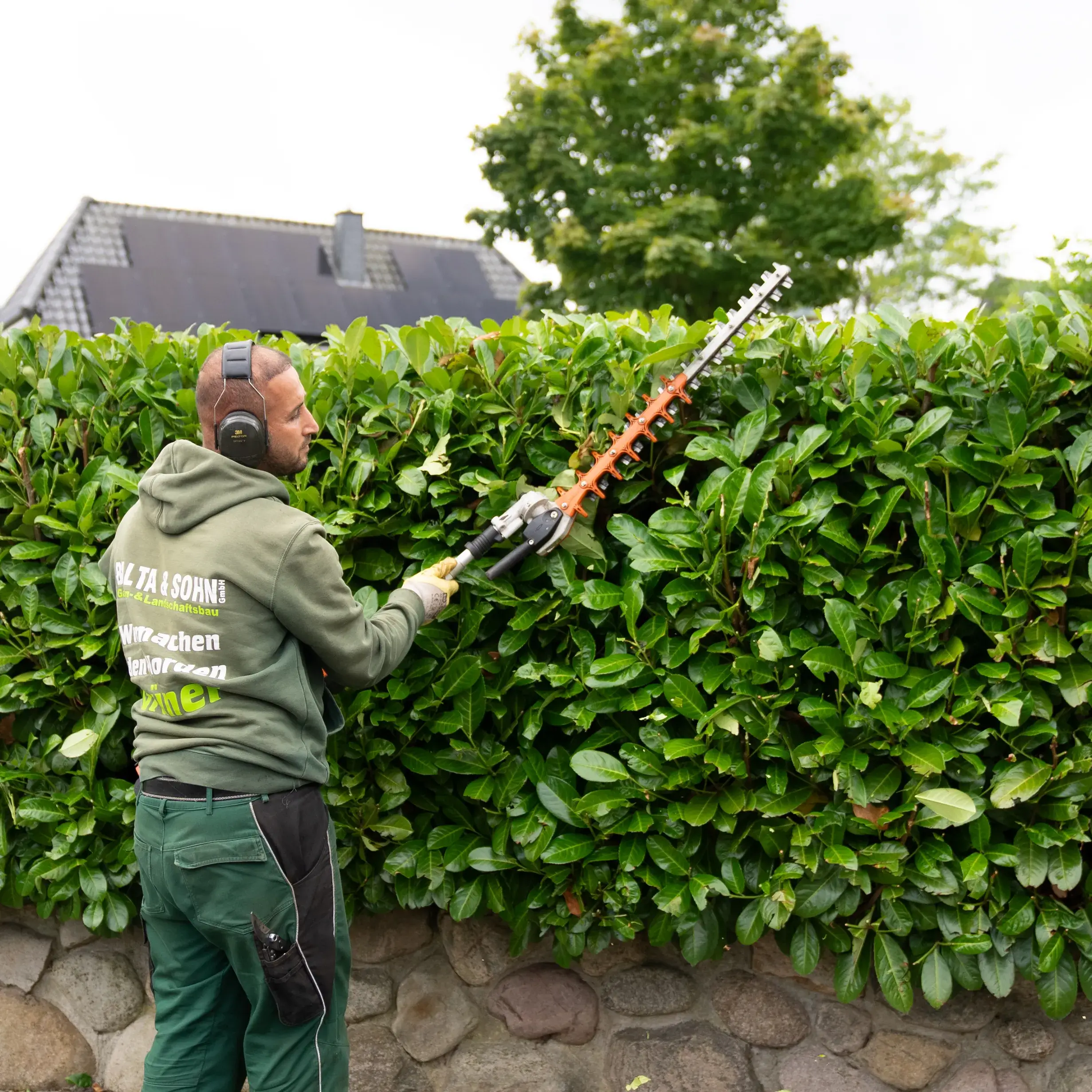 Expertentipps für einen gesunden Baum