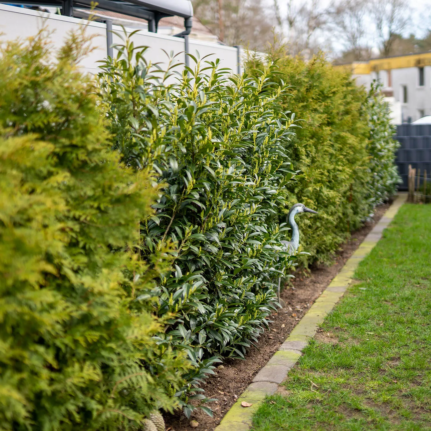 Gartenbau Henstedt-Ulzburg: Individuelle Gartengestaltung für ein schönes Zuhause
