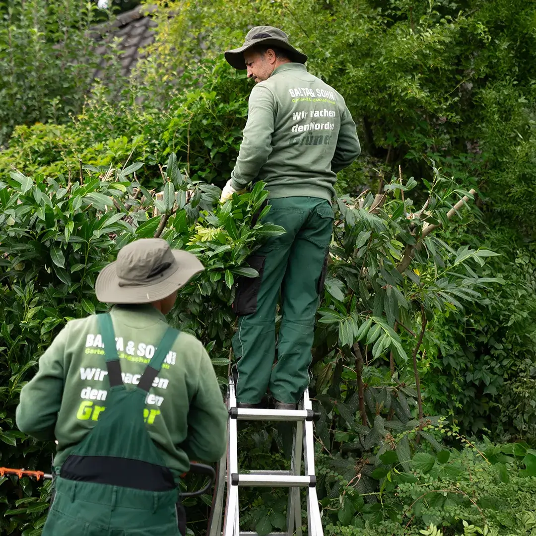 Gartenbewässerung: Automatisch oder manuell?