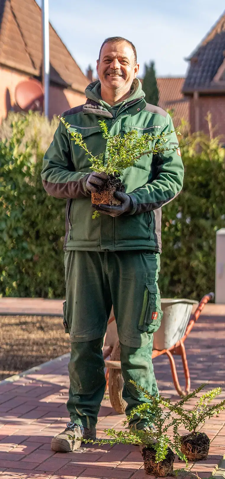 Herbst im Garten in Kaltenkirchen: Stauden richtig zurückschneiden