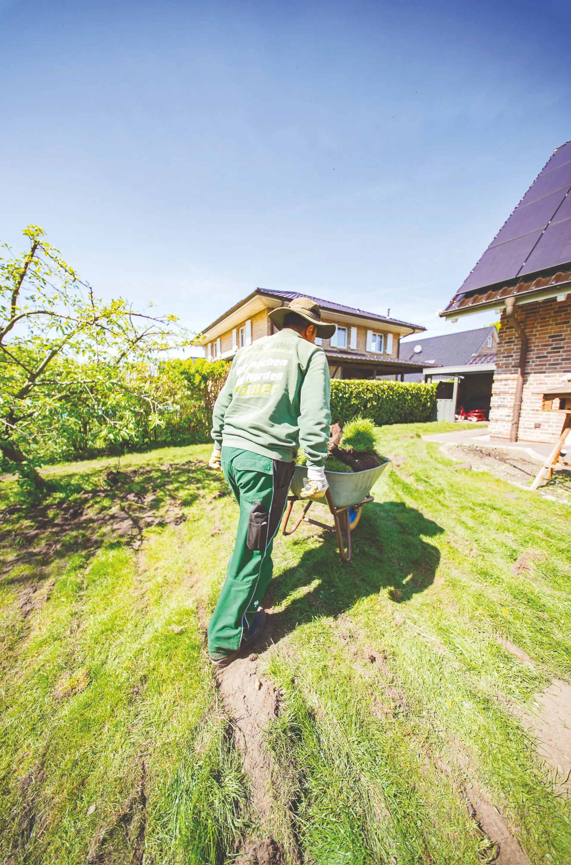 Ratgeber zur Pflanzung und Pflege eines Apfelbaums im eigenen Garten
