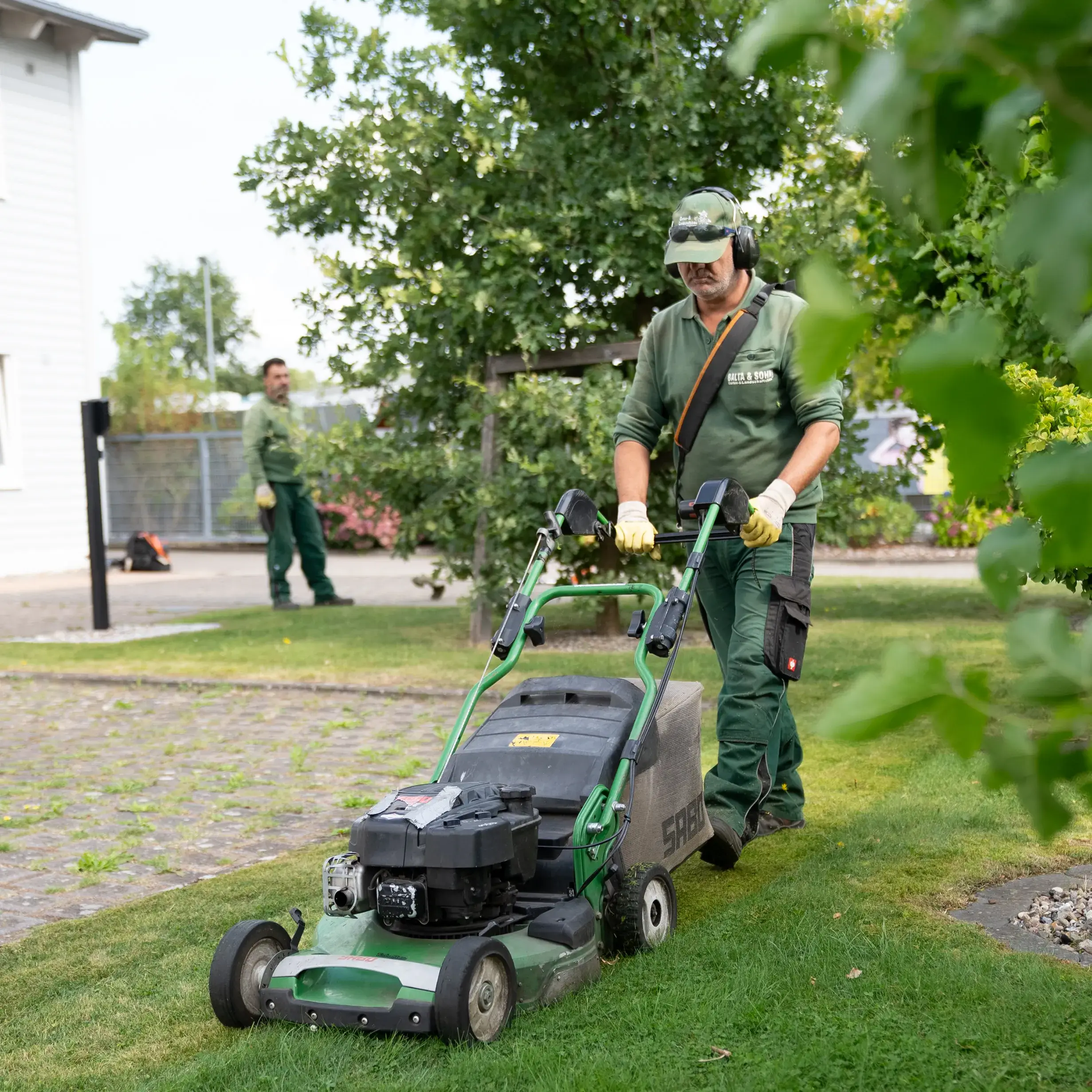 Die besten Herbstpflanzen für den Garten in Kaltenkirchen