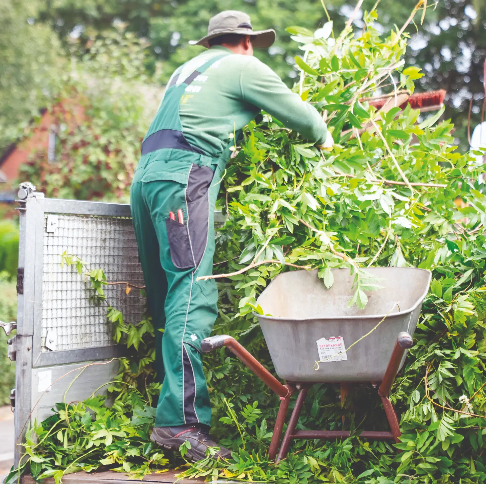 Anleitung zur Zucht von Heilpflanzen im eigenen Garten
