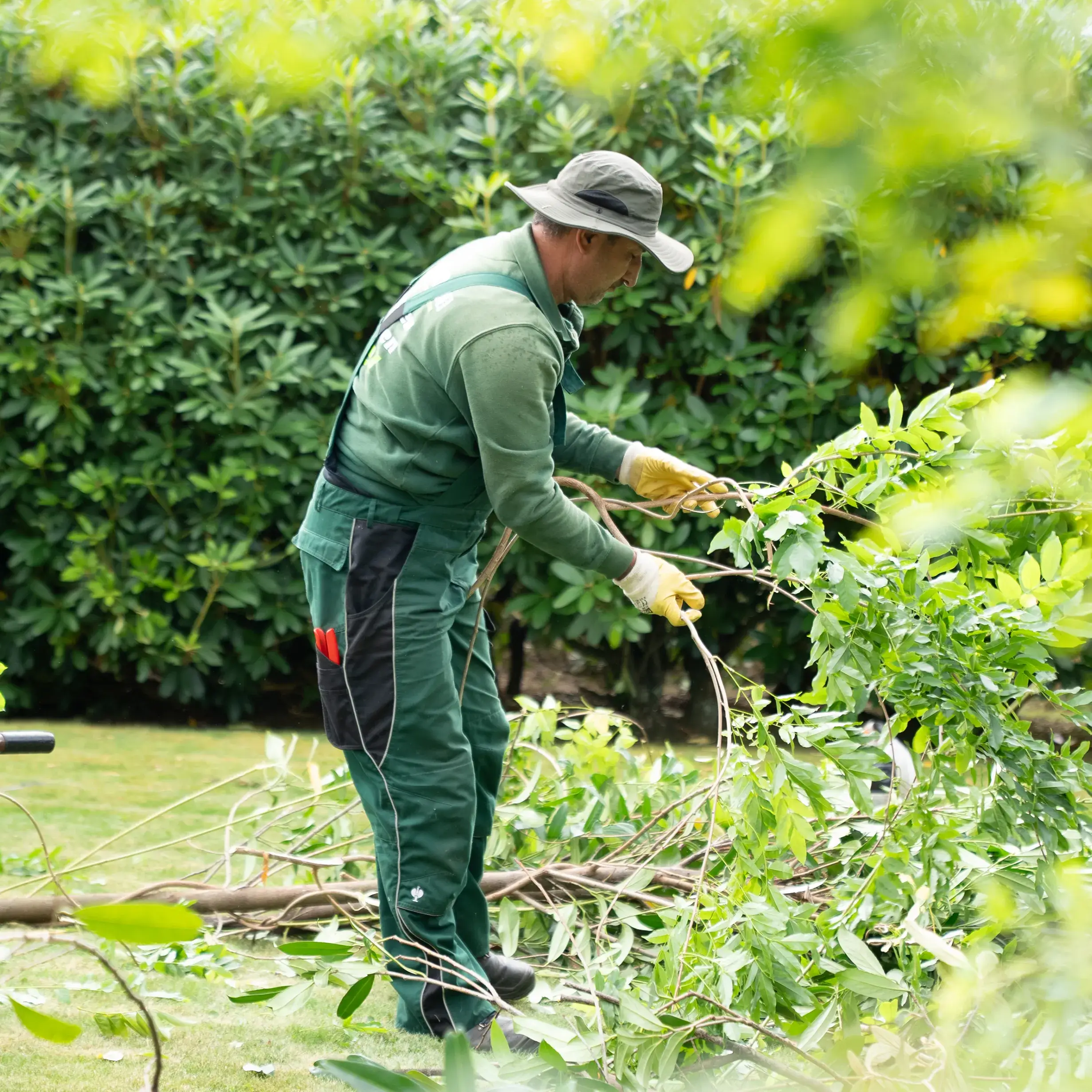 Gartenabfall entsorgen in Kaltenkirchen & Umgebung – Service von Balta & Sohn