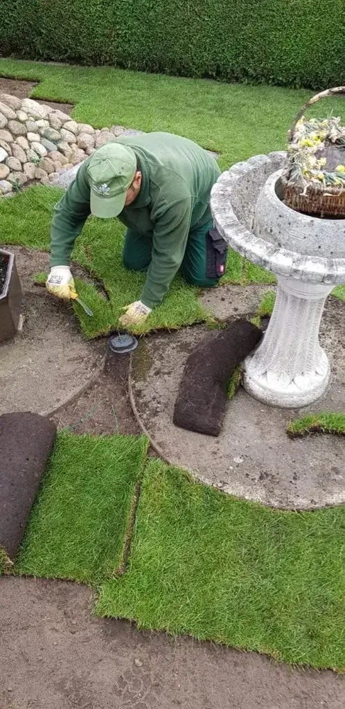 Rollrasen kaufen: Eine praktische Lösung für Ihren Garten