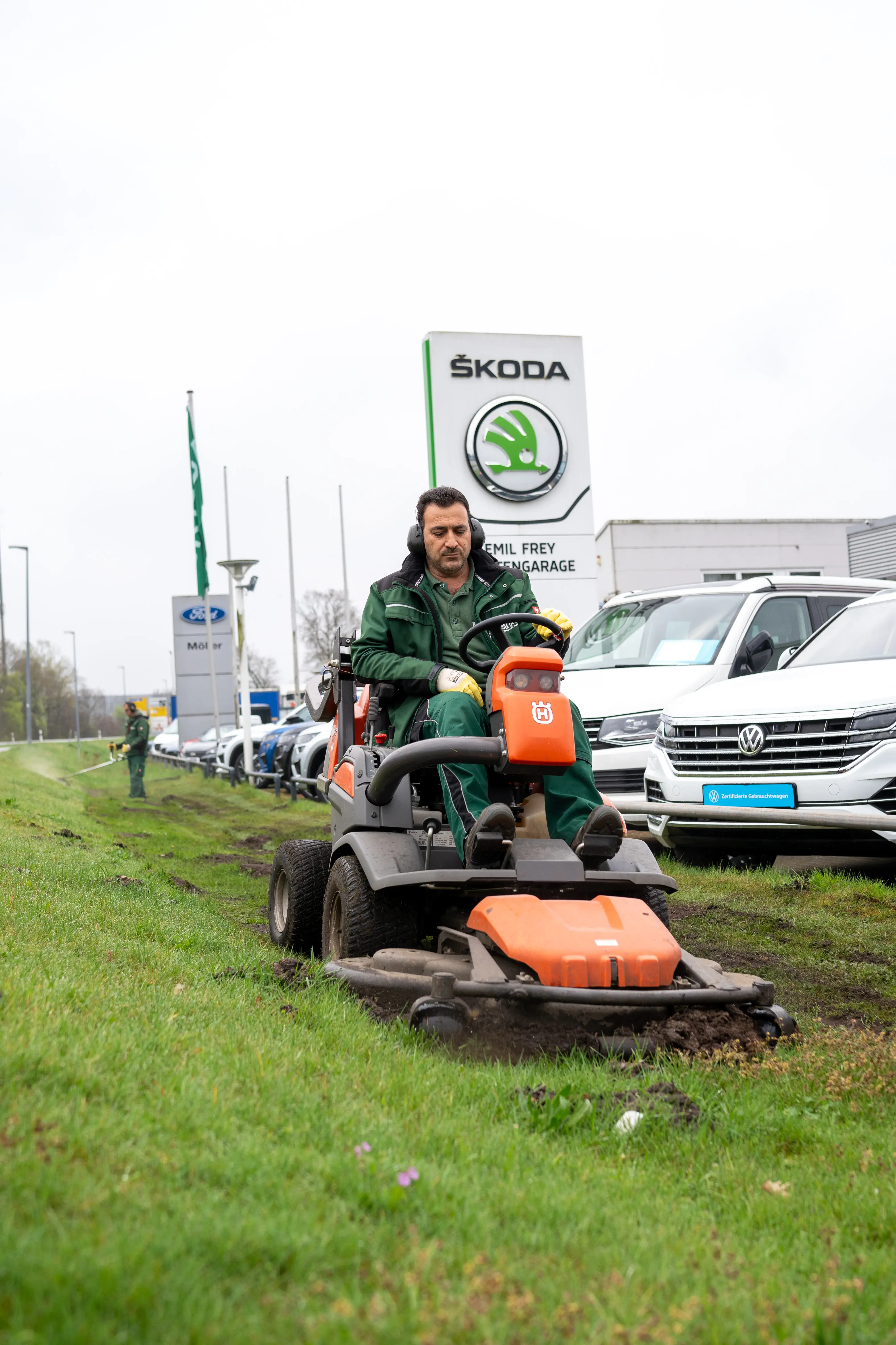 Professionelle Baumfällung: Sicherheit und Expertise aus erster Hand