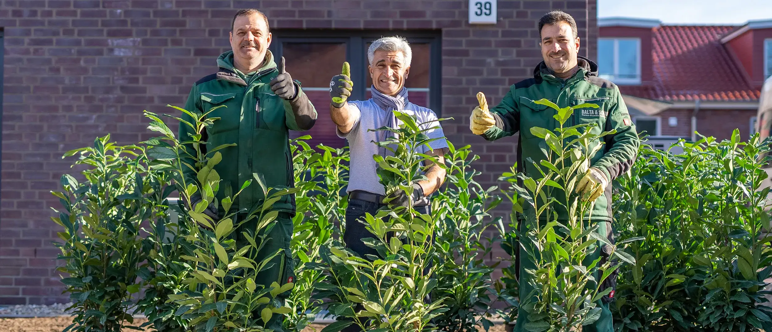 Heckenschnitt in Kaltenkirchen & Umgebung – Professionelle Heckenpflege von Balta & Sohn