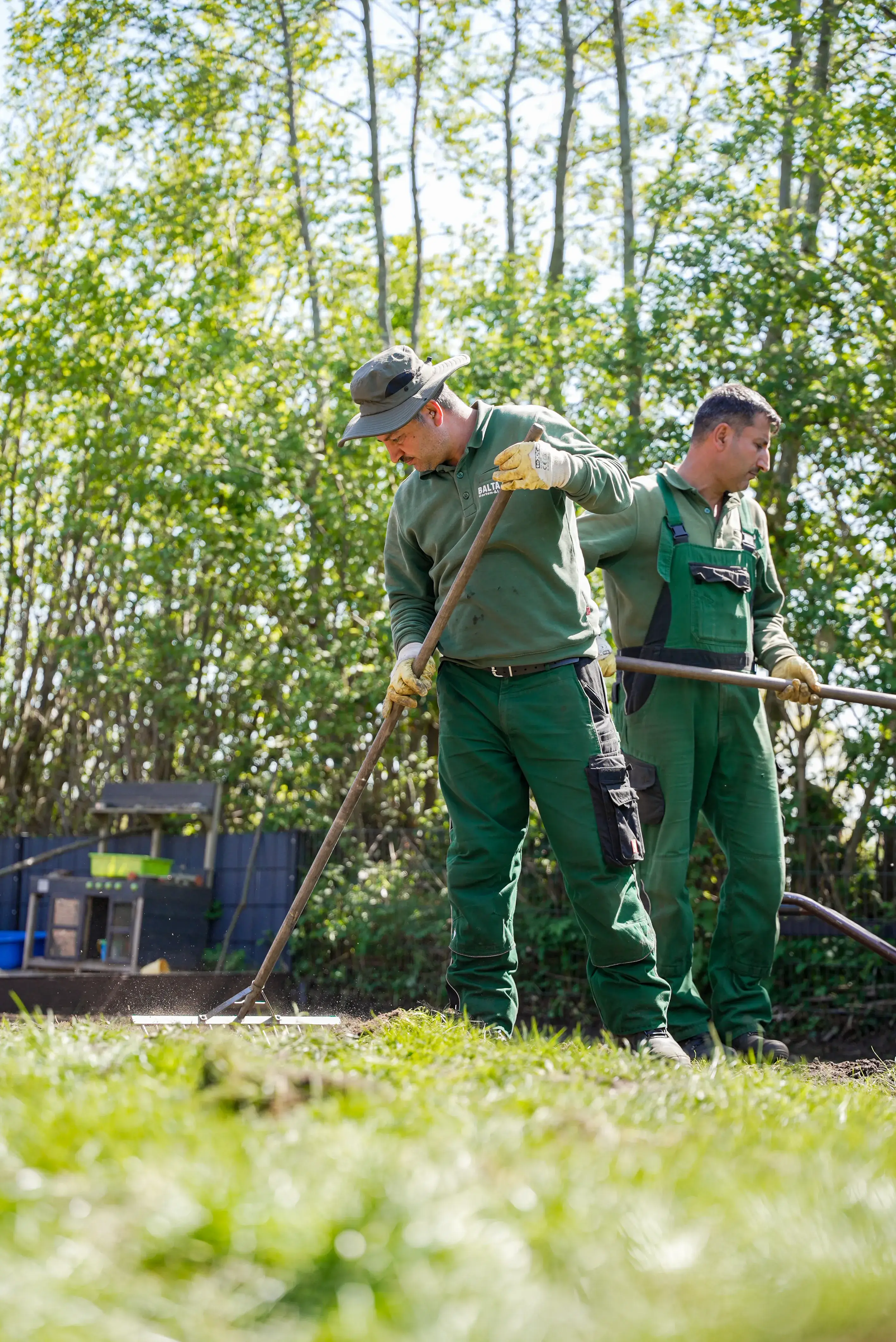 Herbstzeit ist Pflanzzeit in Kaltenkirchen: Jetzt die Grundlage für den Frühling im Garten legen