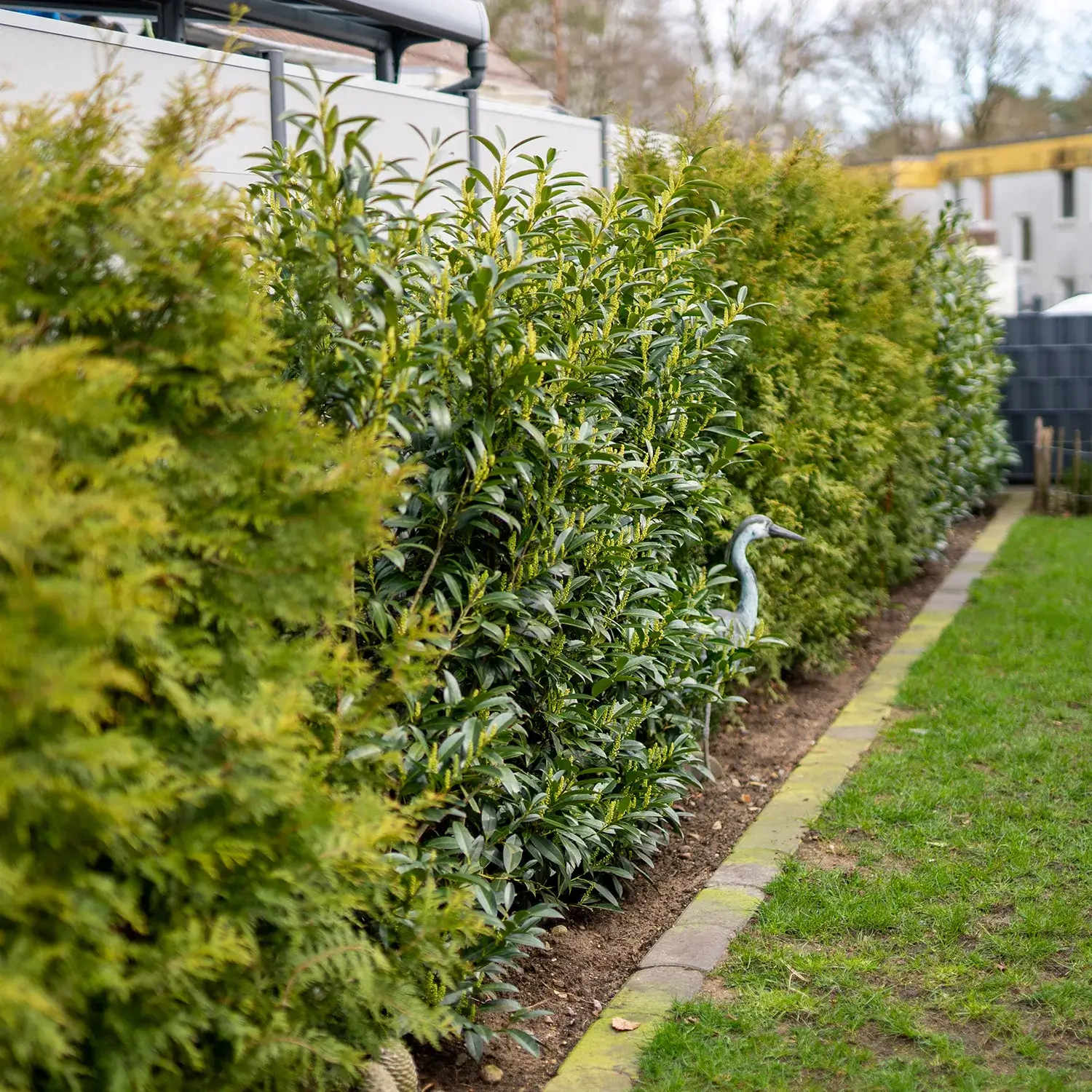 Welche Gartenblumen passen zu meinem Garten – und wie blüht er das ganze Jahr?