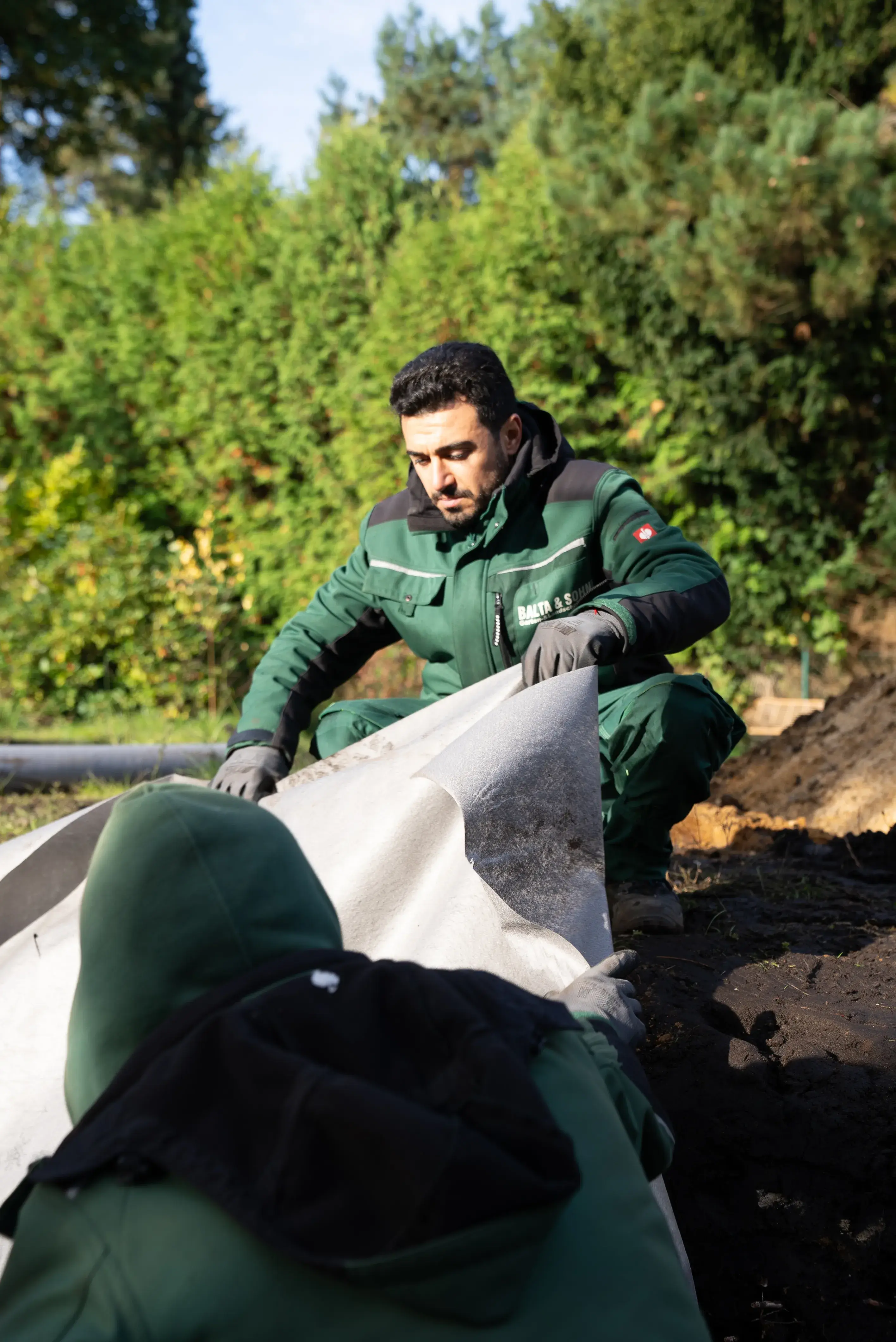 Welche Pflanzen wachsen schnell als Sichtschutz – und wie findest du die richtige für deinen Garten?