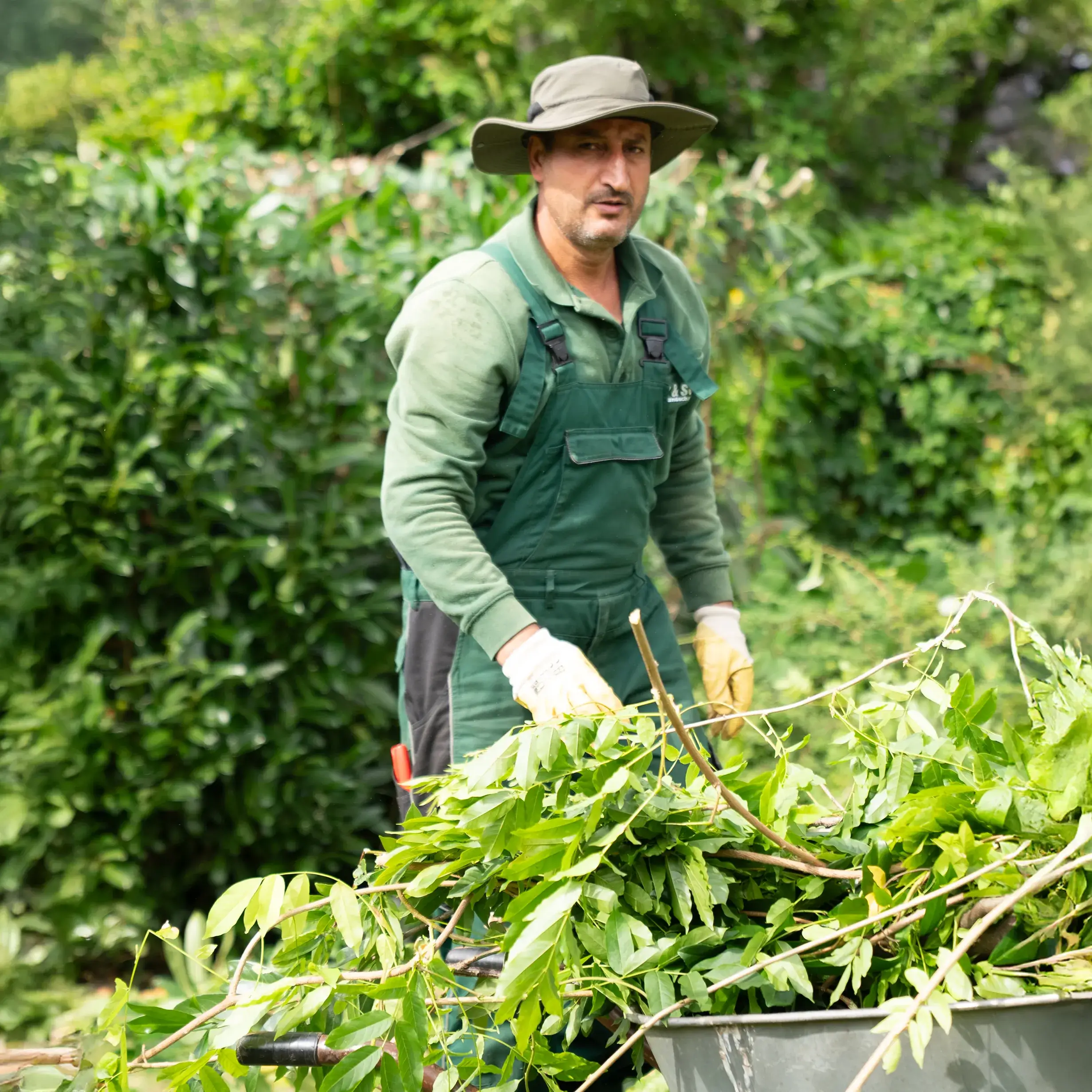 So bleibt Ihr Garten im Sommer in Bestform