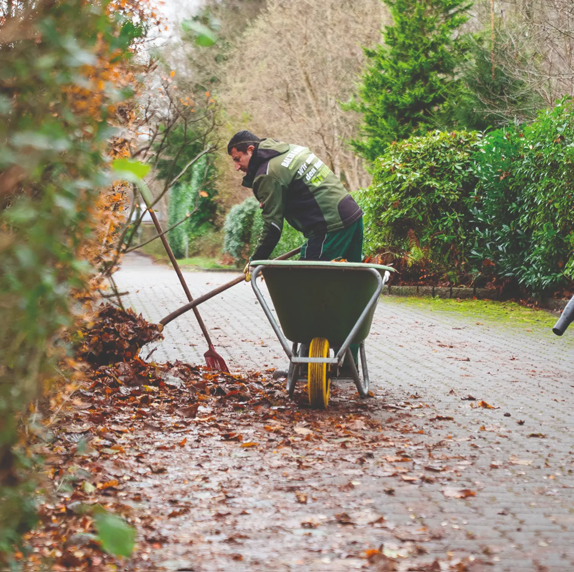 Schädlinge und Gartenkrankheiten im Garten vermeiden