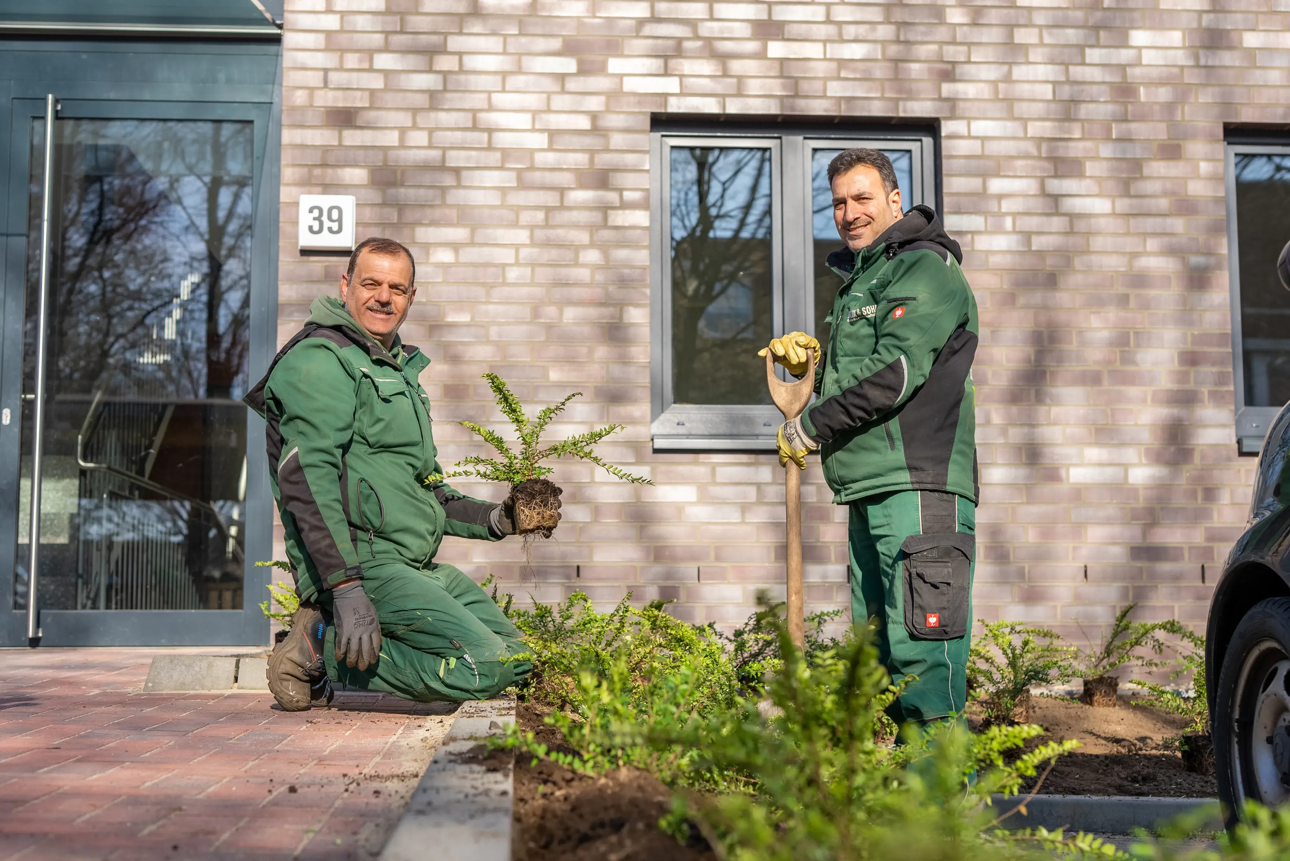 Sommerblüher: Farbenfrohe Akzente für Ihren Garten