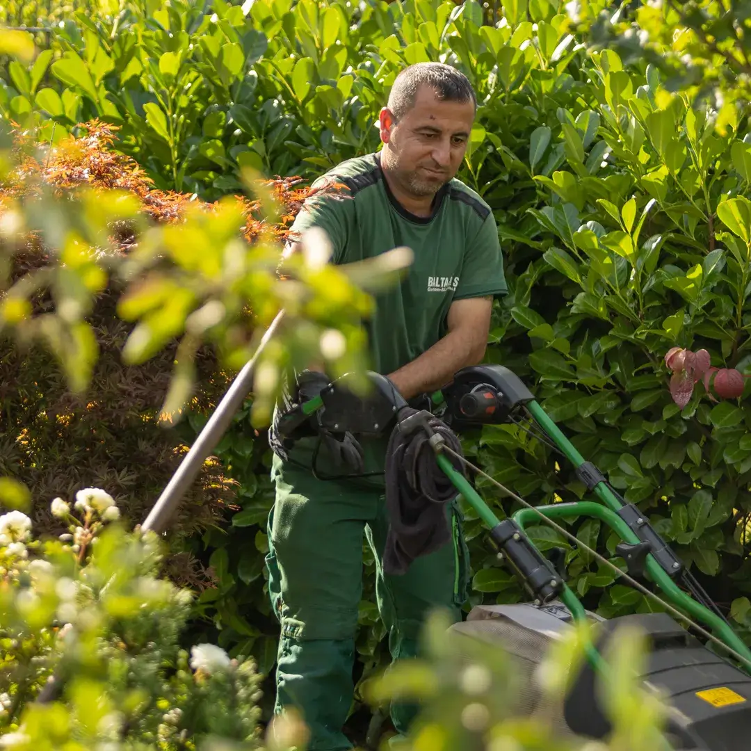 So erschaffen Sie Ihren bienenfreundlich Garten