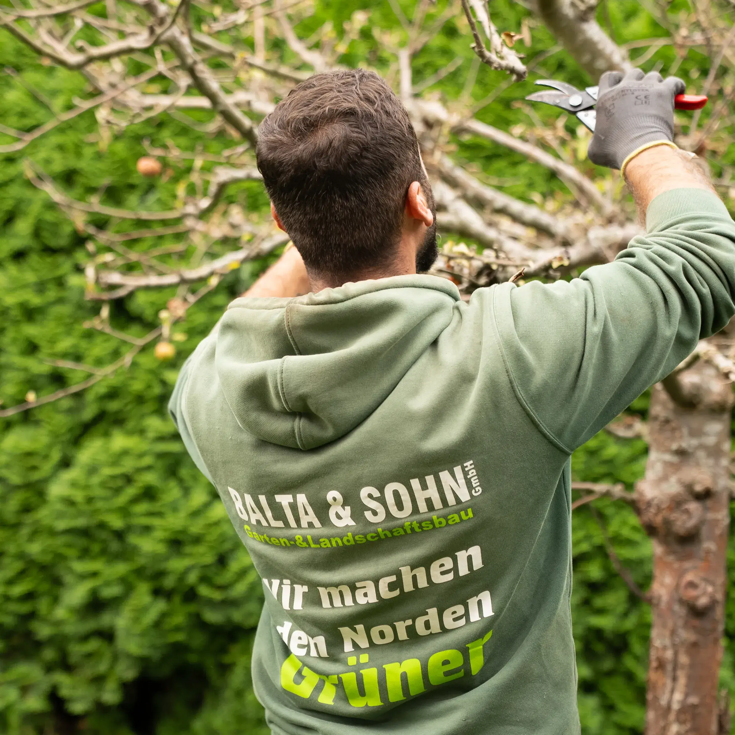 Strauchschnitt in Kaltenkirchen & Umgebung – Profi-Service von Balta & Sohn