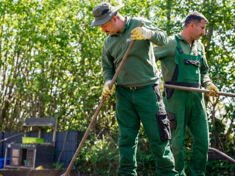 Traumgarten 2026: Von der ersten Skizze zur grünen Oase – Ihr Leitfaden für Kaltenkirchen