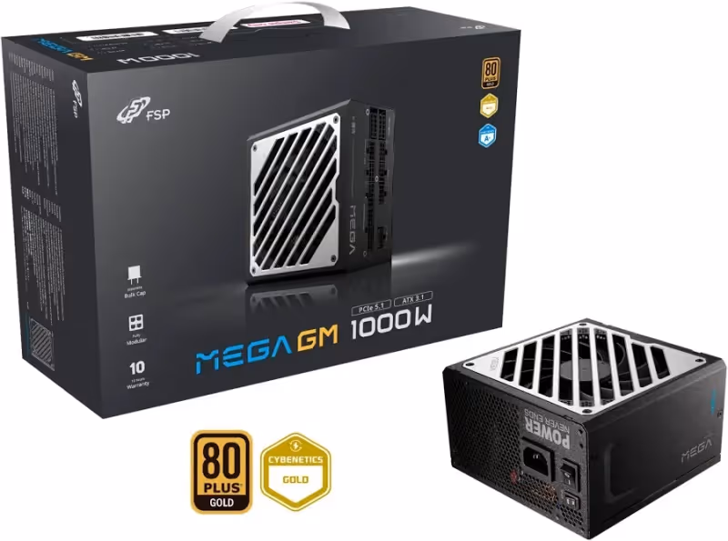 FSP MEGA GM alimentation modulaire 1000 watt - image 2