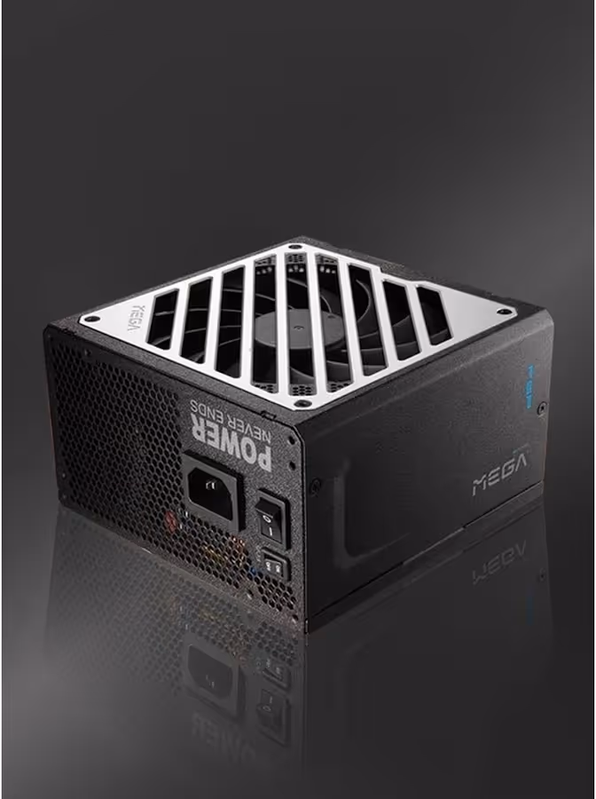 FSP MEGA GM alimentation modulaire 1000 watt - image 5
