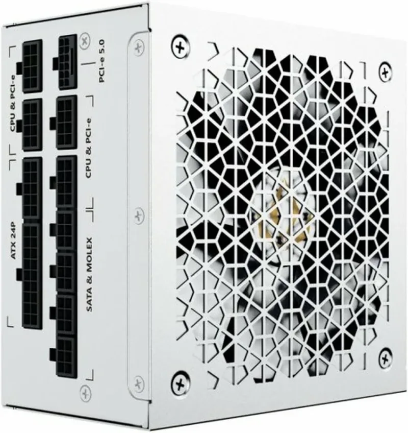 Forgeon Bolt PSU 1000W Gold Full Modular Blanc - image 3