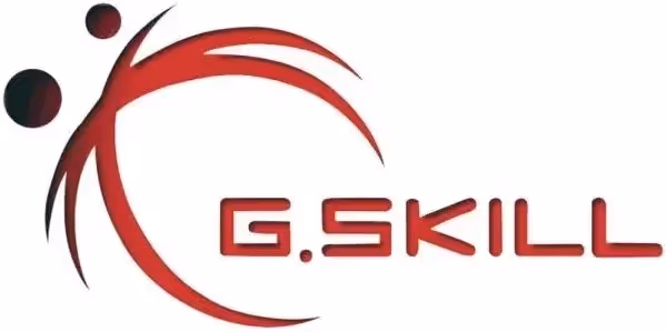 G.Skill 8 Go DDR3 1600 MHz - vue 4