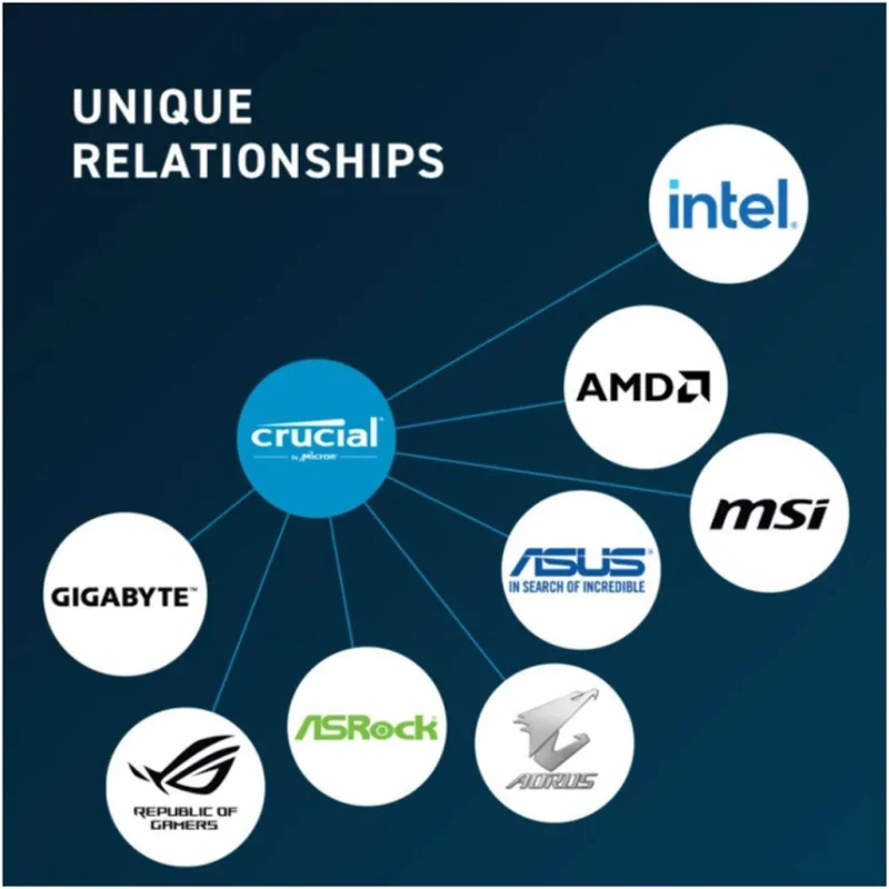 Crucial 64 Go Kit 2x32Go DDR5 5600 MHz - vue 5
