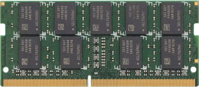 Synology D4ES01 16 Go DDR4 2133 MHz - vue 2