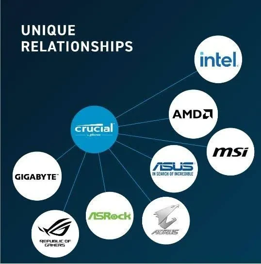 Crucial 32 Go DDR5 5600 MHz - vue 4