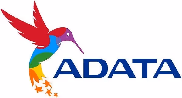 ADATA Premier 16 Go DDR5 4800 MHz - vue 4