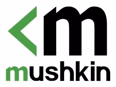 Mushkin 2 Go DDR2 800 MHz - vue 5