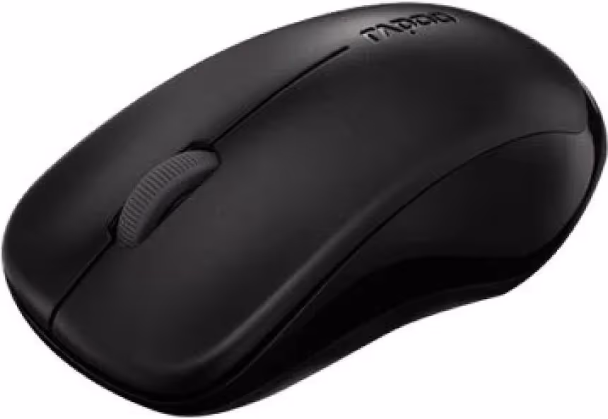 Rapoo 1620 - vue 3