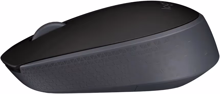 Logitech M171 Noir - vue 1