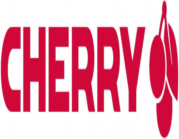 CHERRY STREAM KEYBOARD Noir - vue 2
