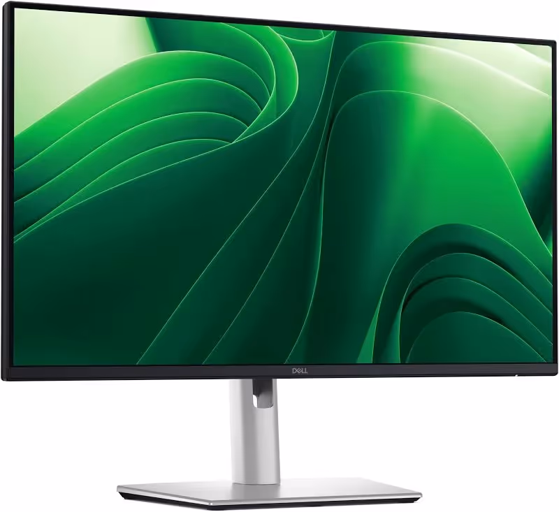Dell BenQ Pro Plus P2425DE 24 pouces - vue 2