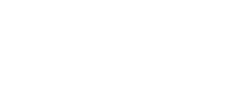 Fendix