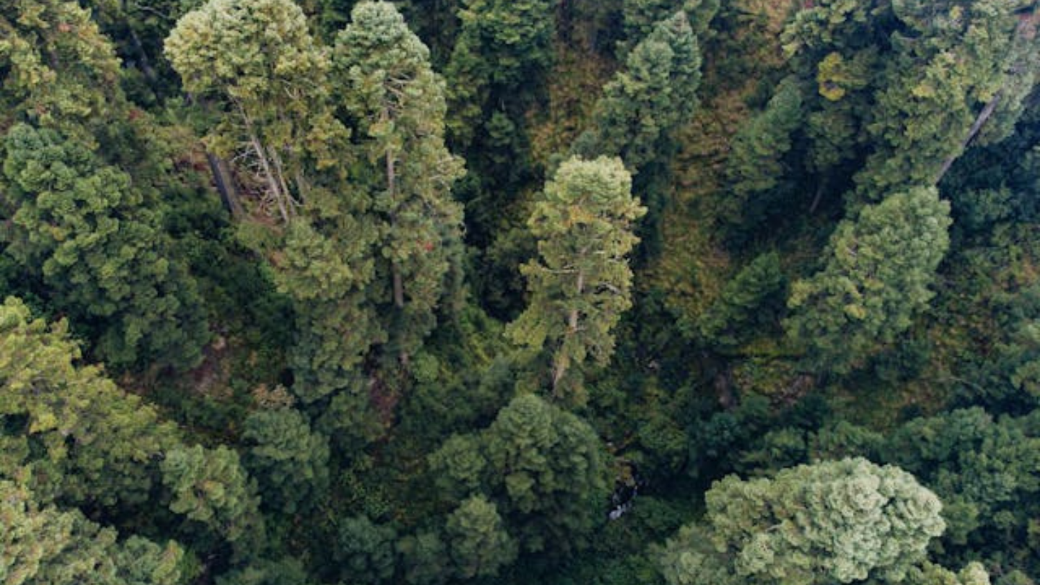 Conservation Authority Permits: What Developers Need to Know