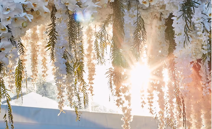 Sunlight shining through hanging white flowers and green foliage decorations.