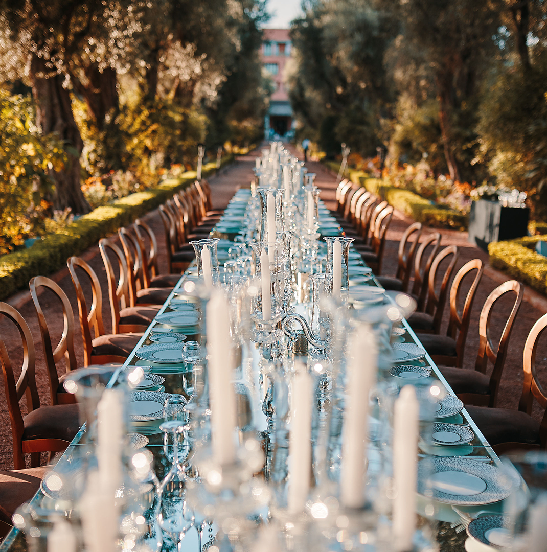 Sunlight shining through hanging white flowers and green leaves in an outdoor setting.