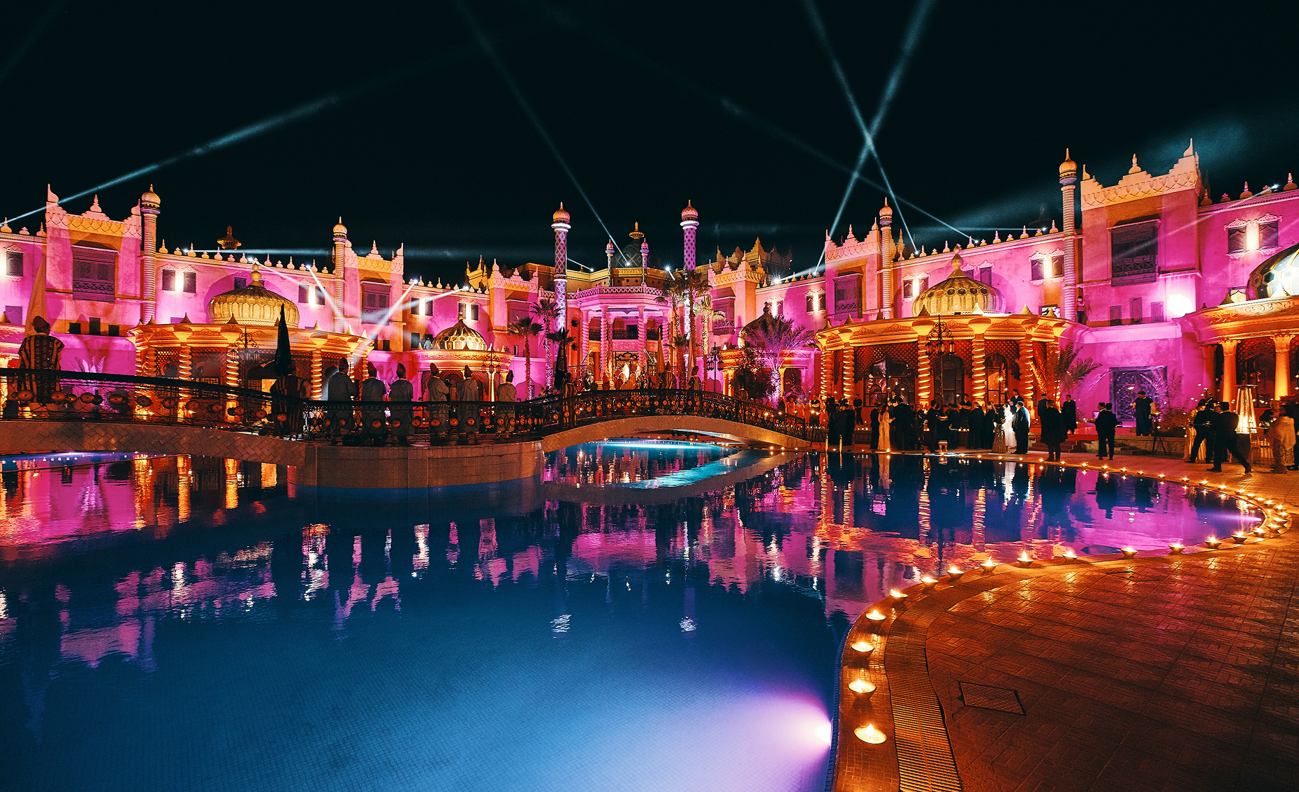 Sunlight shining through hanging white flowers and green leaves in an outdoor setting.