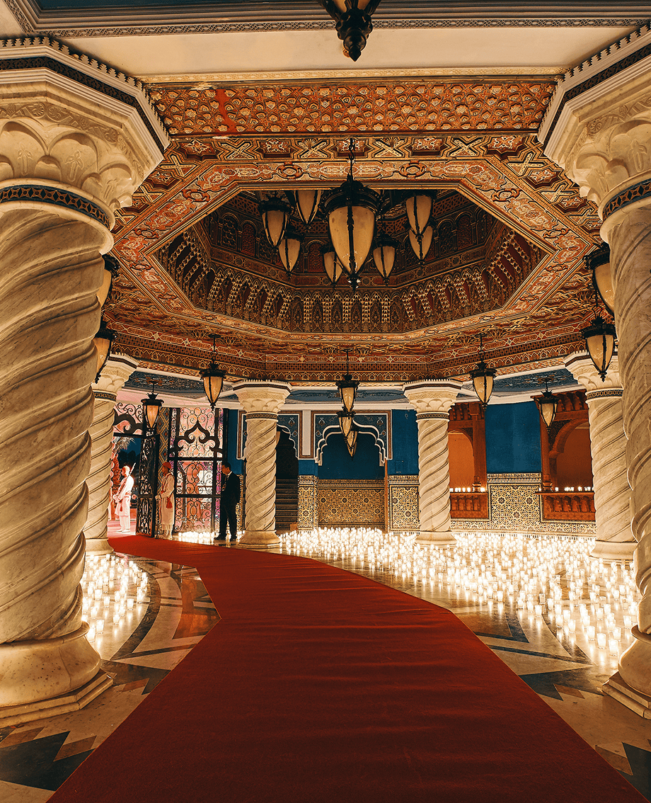 Sunlight shining through hanging white flowers and green leaves in an outdoor setting.
