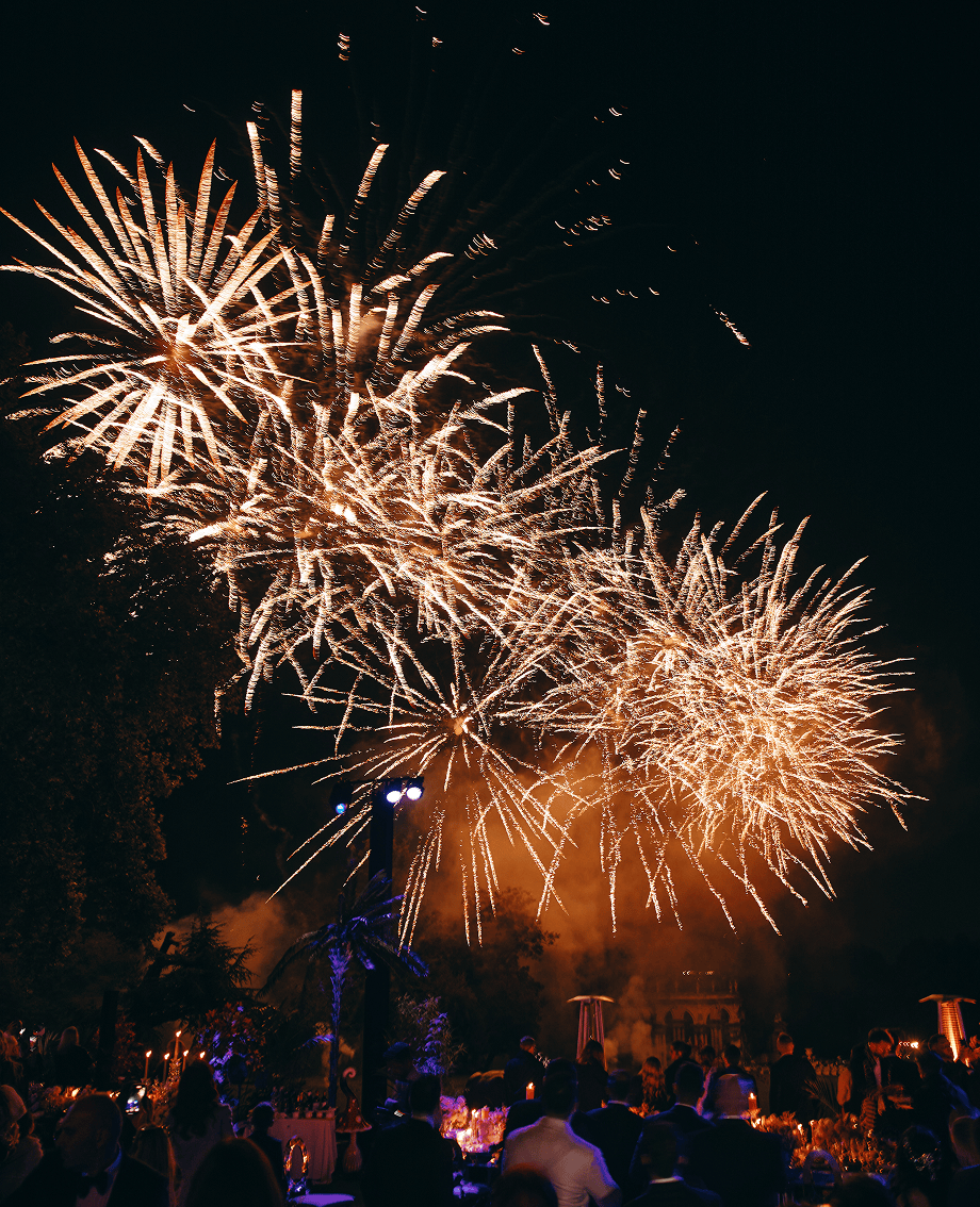 Sunlight shining through hanging white flowers and green leaves in an outdoor setting.