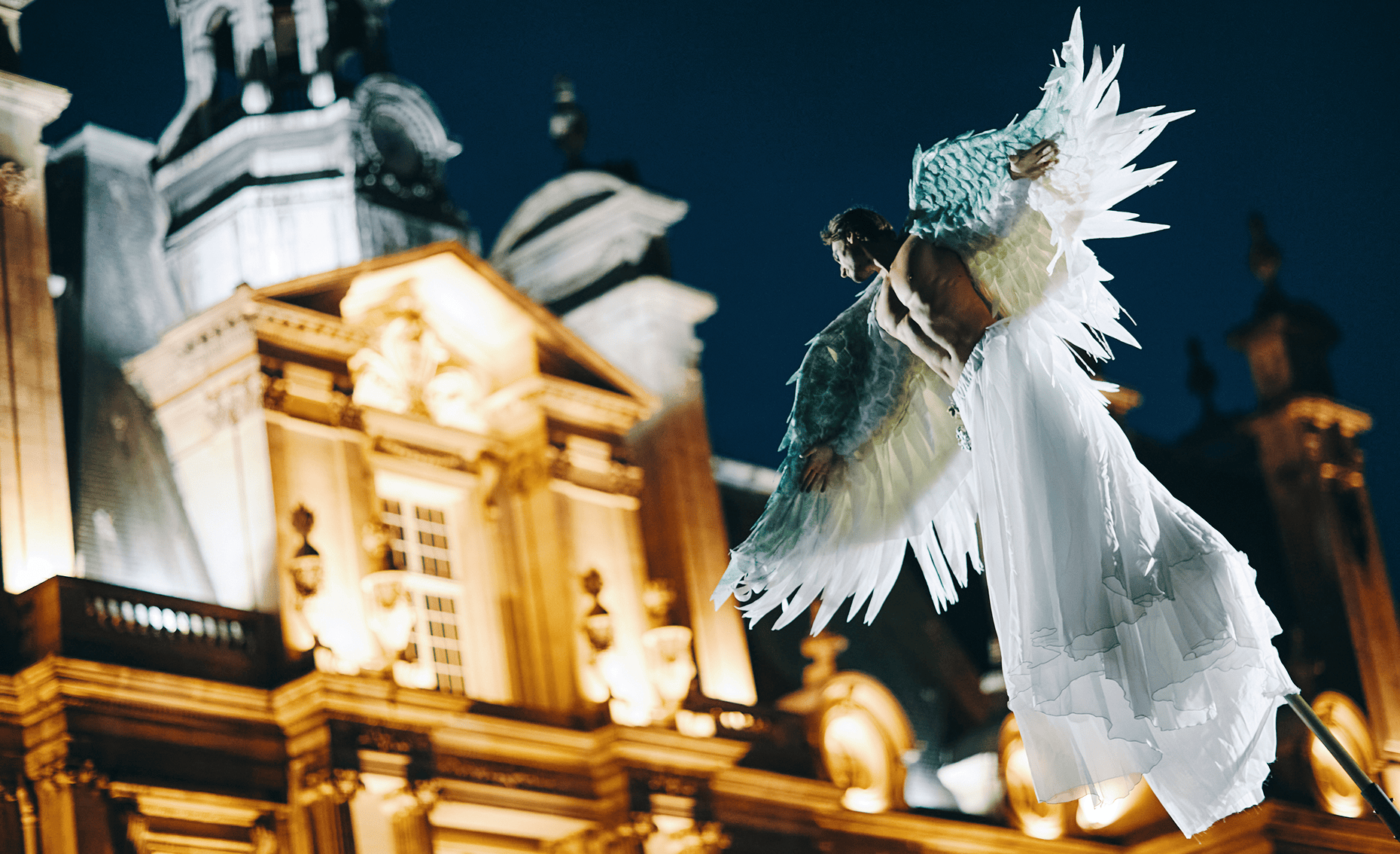Sunlight shining through hanging white flowers and green leaves in an outdoor setting.