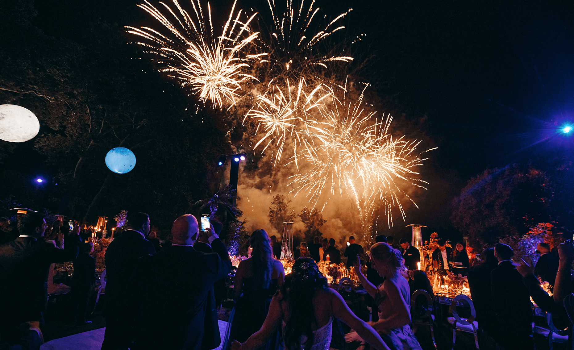 Sunlight shining through hanging white flowers and green leaves in an outdoor setting.