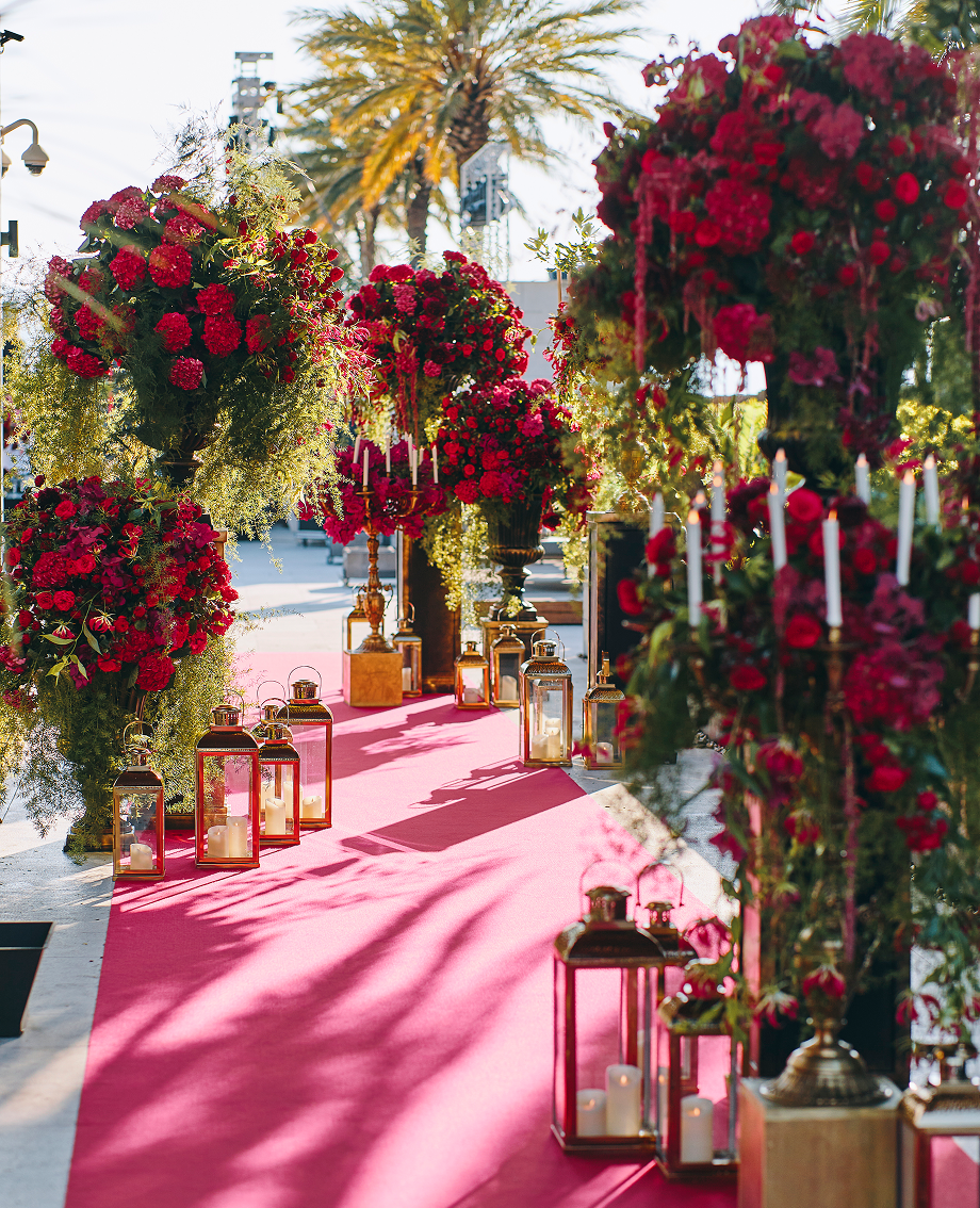 Sunlight shining through hanging white flowers and green leaves in an outdoor setting.