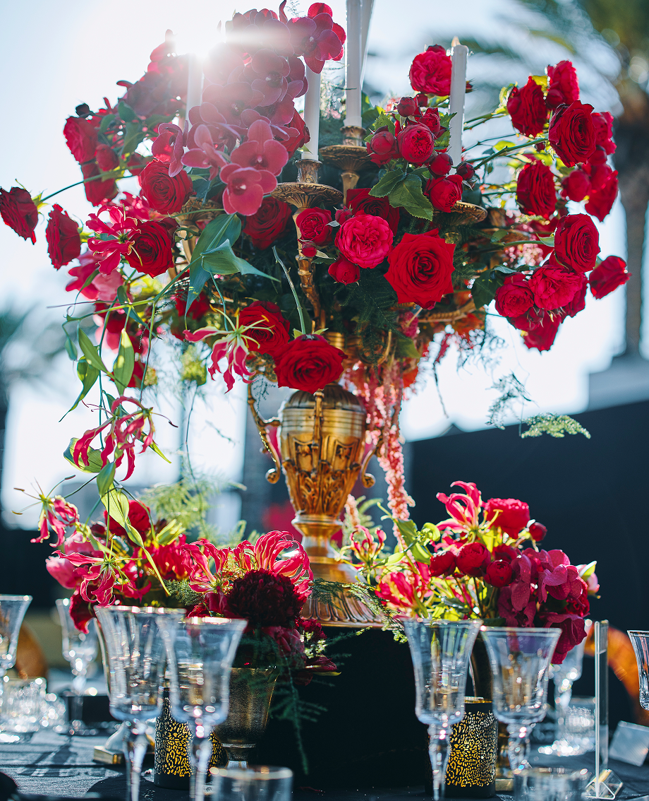 Sunlight shining through hanging white flowers and green leaves in an outdoor setting.